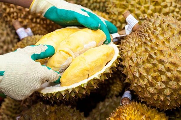 Ảnh minh họa. Nguồn: Kinh tế Môi trường