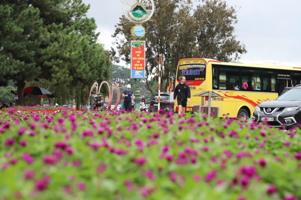 Có những người chỉ đơn giản đến Đà Lạt, đi dạo tìm lại cảm giác bình yên giữa những vườn hoa thơm ngát trong một buổi se lạnh