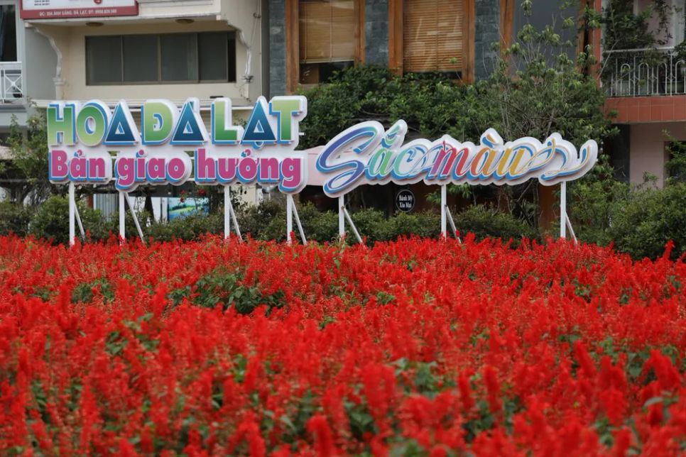 Hoa trở thành “ngôn ngữ” riêng của Đà Lạt – níu giữ bước chân du khách <br>