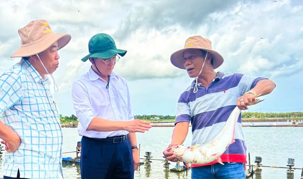 Mô hình nuôi cá trong ao tôm tại Sóc Trăng đang mang lại lợi nhuận cao cho người dân Mô hình nuôi cá trong ao tôm tại Sóc Trăng đang mang lại lợi nhuận cao cho người dân