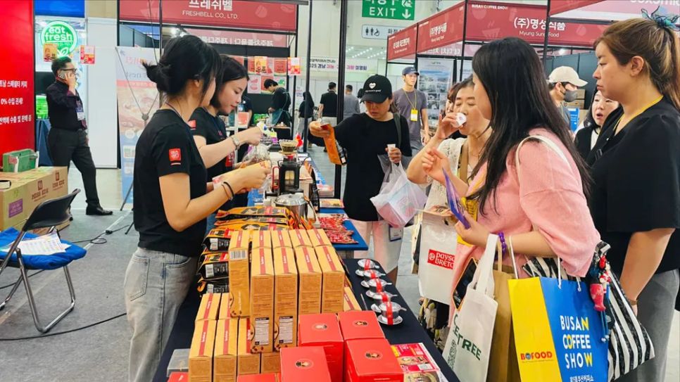 Cà phê Robusta Việt Nam tạo dấu ấn tại Busan Coffee Show 2025 Cà phê Robusta Việt Nam tạo dấu ấn tại Busan Coffee Show 2025