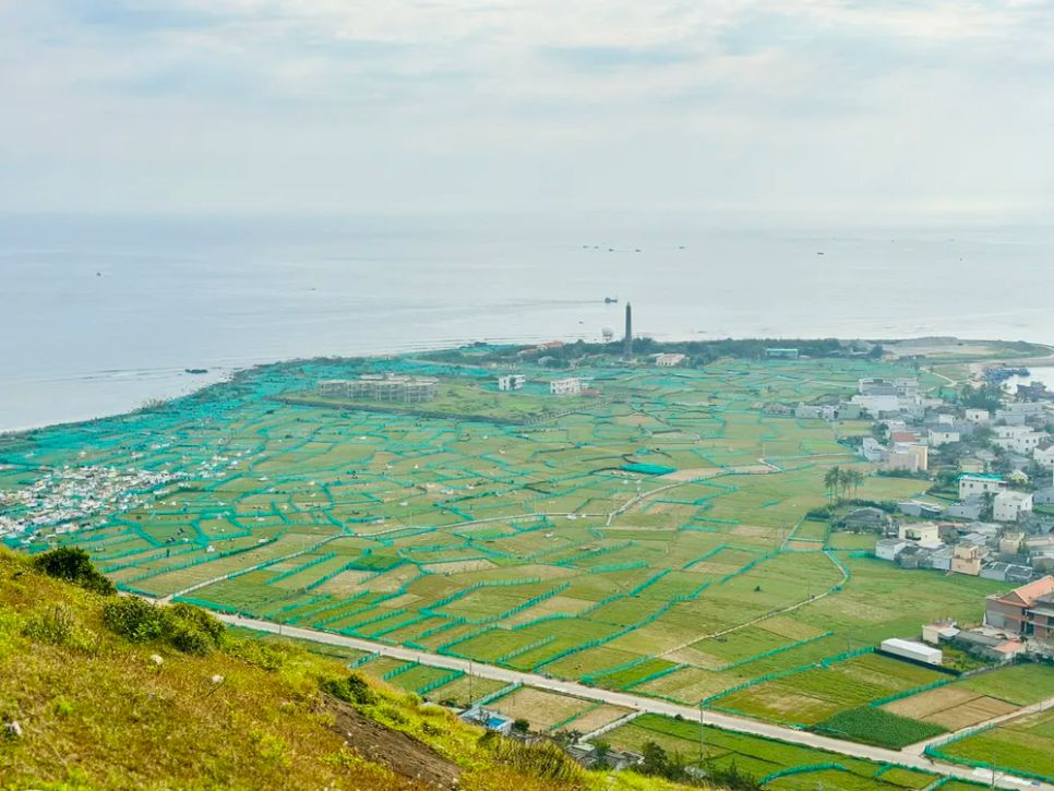 Ruộng bậc thang ở đảo Lý Sơn có những viên đá tạo thành từ đá núi lửa