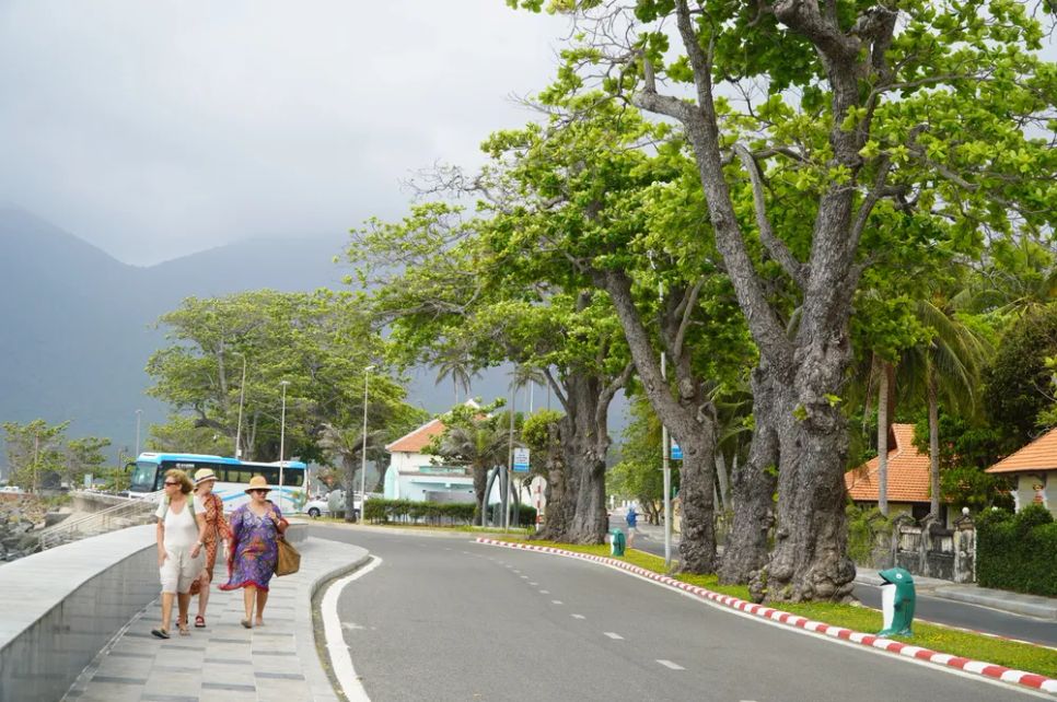 Khách quốc tế dạo chơi Côn Đảo ngắm biển và những cây bàng di sản Khách quốc tế dạo chơi Côn Đảo ngắm biển và những cây bàng di sản