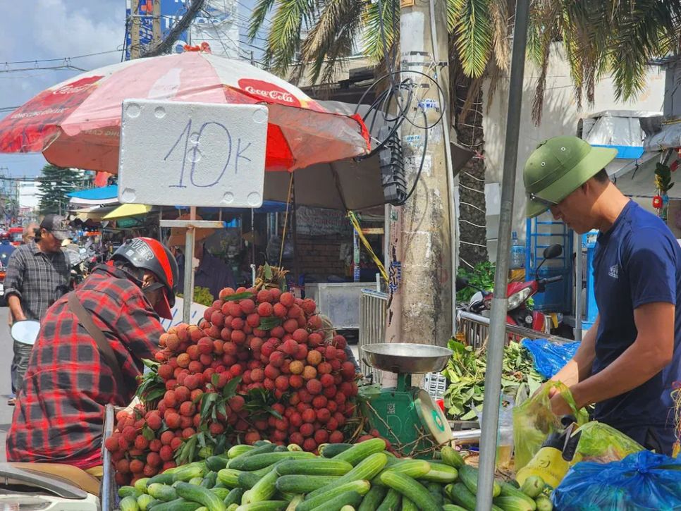 Nhiều xe bán vải thiều với giá chỉ 10.000 đồng/kg. Ảnh: ĐỨC TRUNG Nhiều xe bán vải thiều với giá chỉ 10.000 đồng/kg. Ảnh: ĐỨC TRUNG