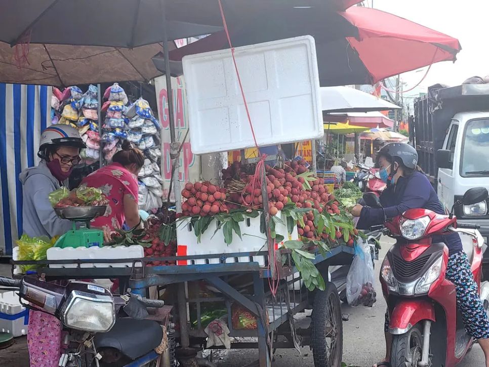 Vải thiều được bày bán tràn ngập tại các chợ truyền thống ở TPHCM. Ảnh: ĐỨC TRUNG Vải thiều được bày bán tràn ngập tại các chợ truyền thống ở TPHCM. Ảnh: ĐỨC TRUNG