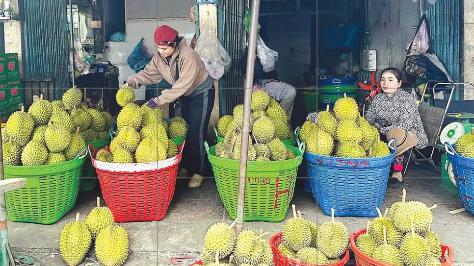 Người dân bày bán sầu riêng quanh chợ đầu mối nông sản Thạnh Trị (tỉnh Đồng Tháp). Ảnh: NGỌC PHÚC Người dân bày bán sầu riêng quanh chợ đầu mối nông sản Thạnh Trị (tỉnh Đồng Tháp). Ảnh: NGỌC PHÚC