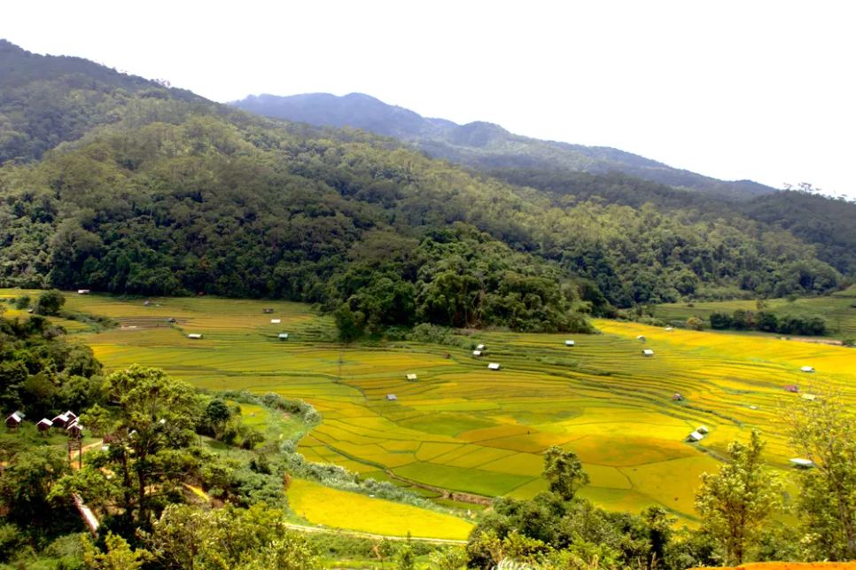 Hệ thống ruộng bậc thang Kon Tu Rằng thơ mộng như 