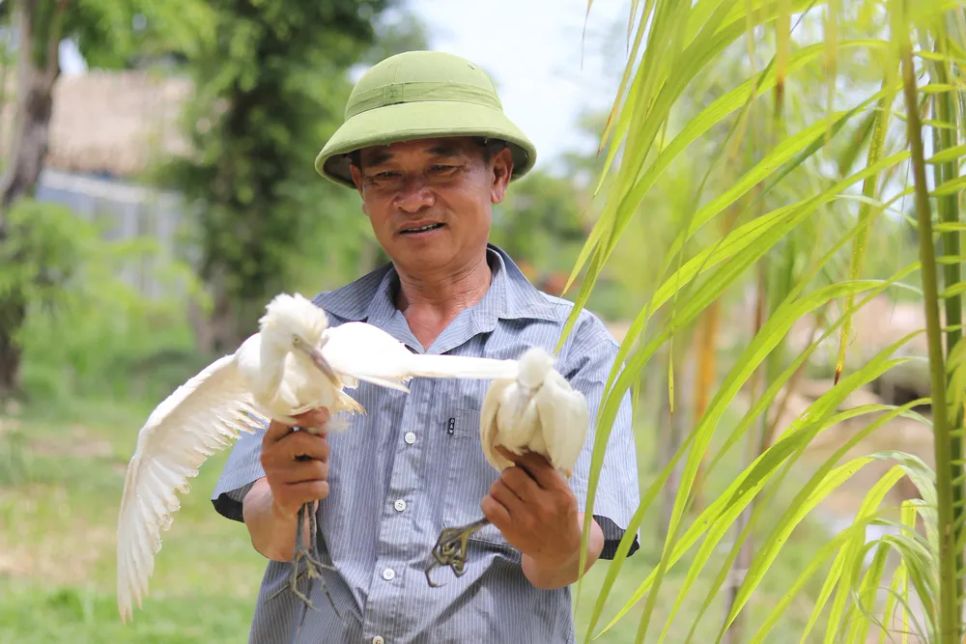 Ông Hoàng Văn Nam đang trông coi vườn chim nhân tạo Ông Hoàng Văn Nam đang trông coi vườn chim nhân tạo