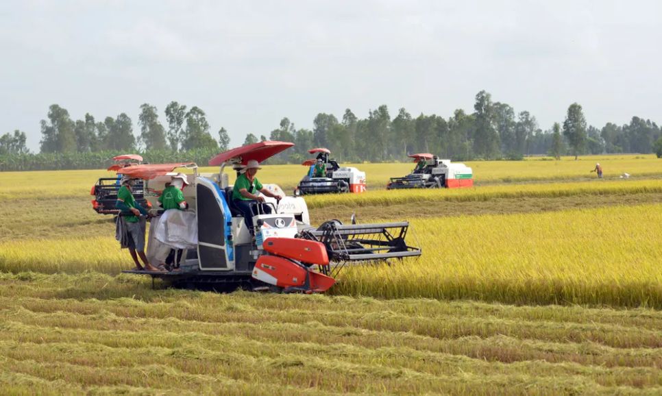 Cơ giới hóa được xem là khâu đột phá trong thực hiện 1 triệu hec-ta lúa chất lượng cao <br>