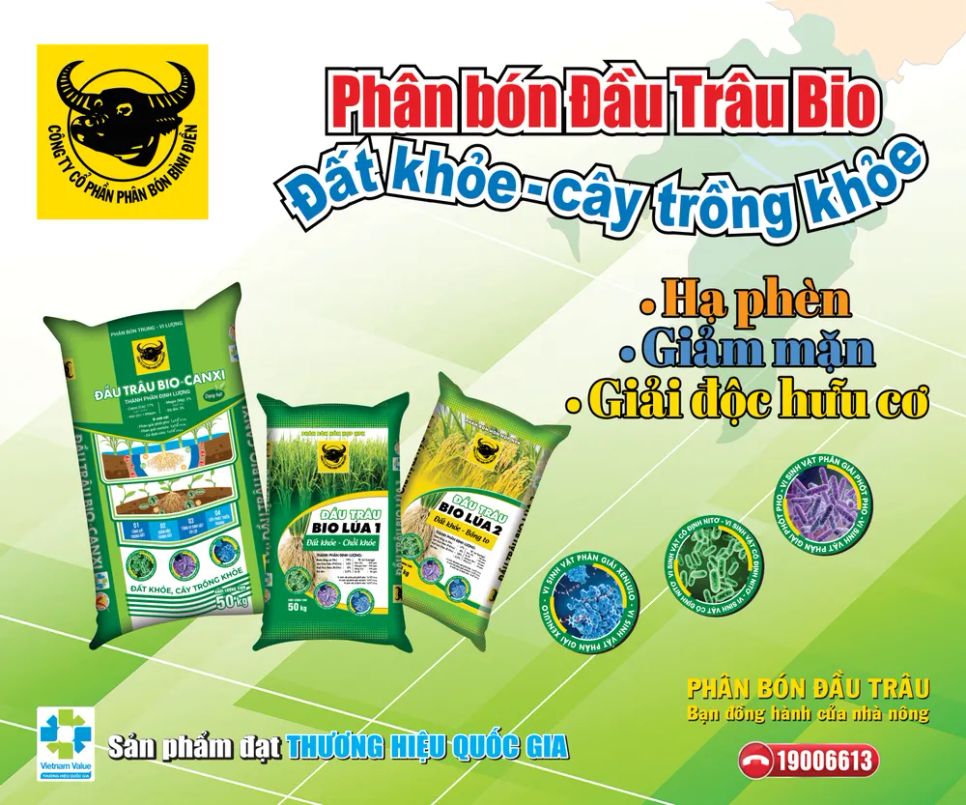 Hành trình đưa vi sinh vật vào Phân bón Đầu Trâu Bio-Canxi Hành trình đưa vi sinh vật vào Phân bón Đầu Trâu Bio-Canxi