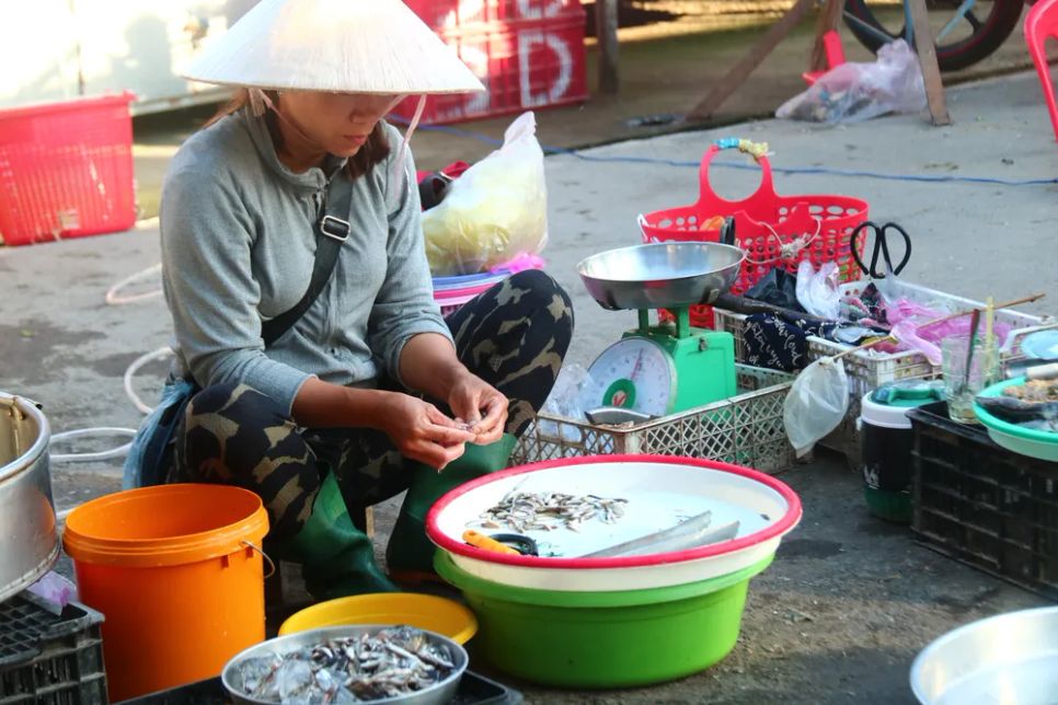 Chợ cá đồng vùng biên mùa nước nổi