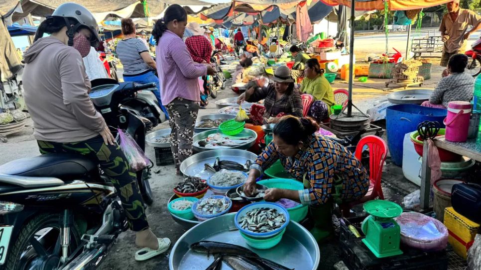 Chợ cá đồng vùng biên mùa nước nổi