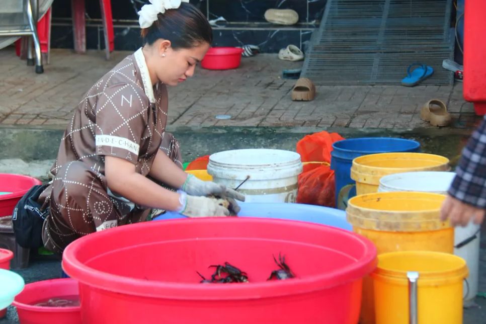 Chợ cá đồng vùng biên mùa nước nổi