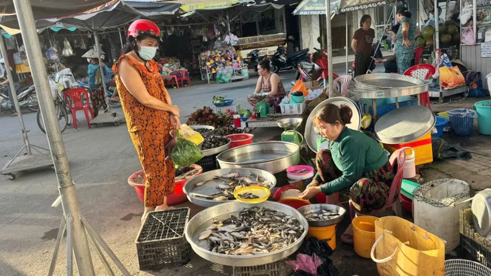 Chợ cá đồng vùng biên mùa nước nổi