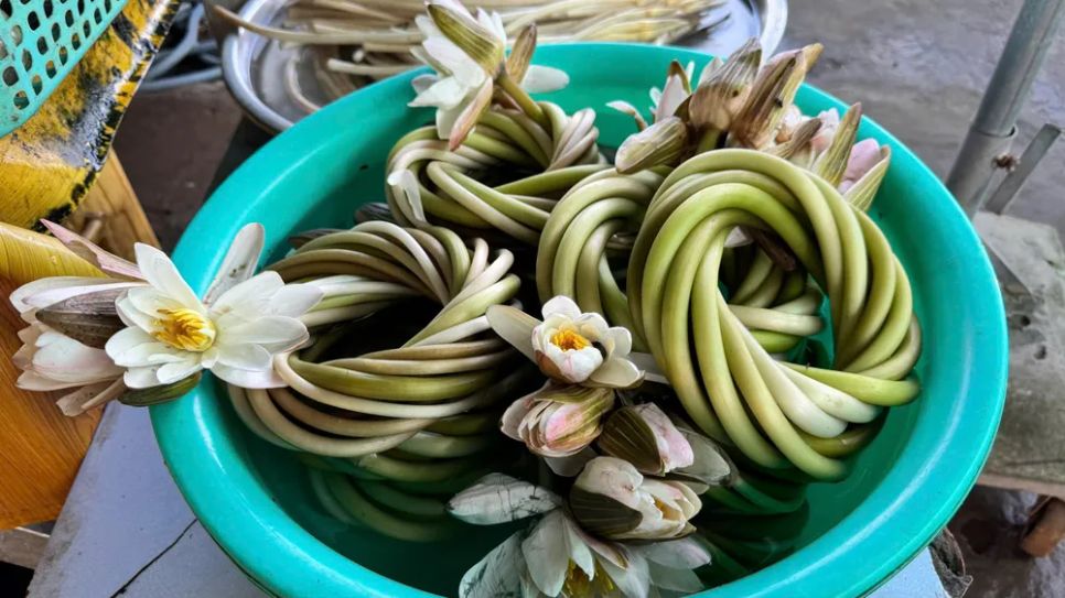Chợ cá đồng vùng biên mùa nước nổi