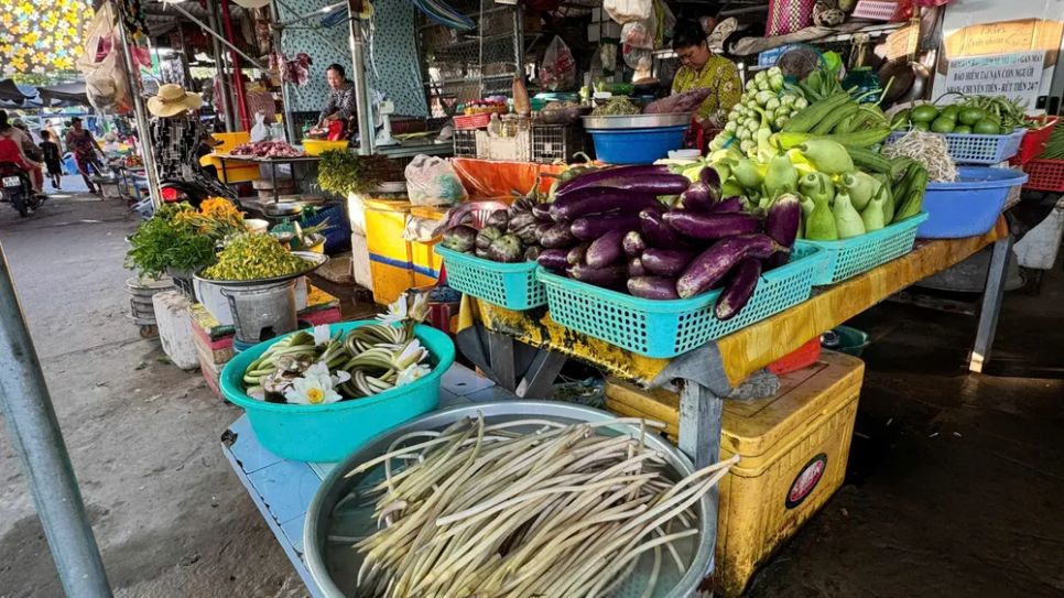 Chợ cá đồng vùng biên mùa nước nổi