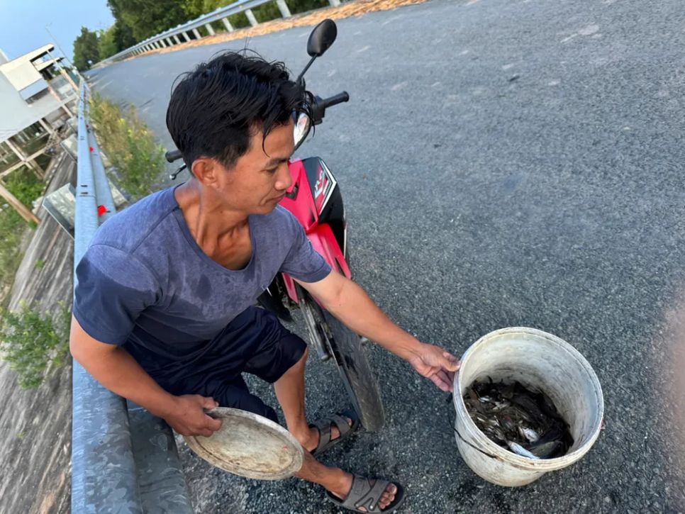 Chợ cá đồng vùng biên mùa nước nổi