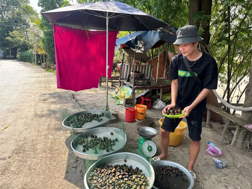 Chợ cá đồng vùng biên mùa nước nổi