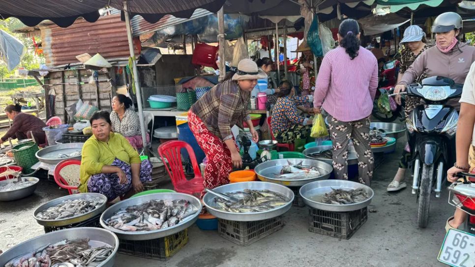 Chợ cá đồng vùng biên mùa nước nổi