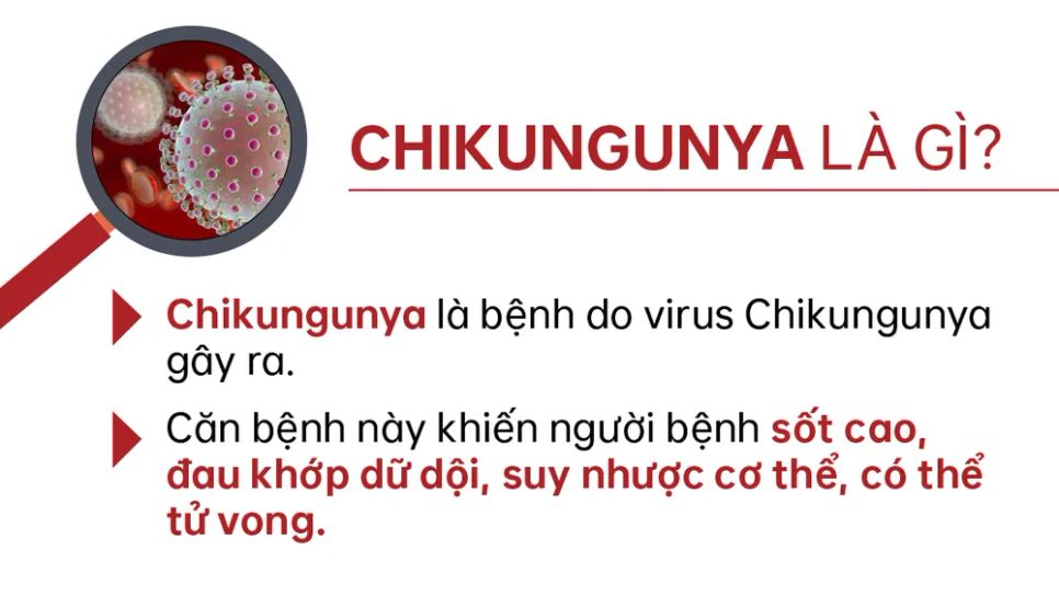 Chikungunya - Bệnh truyền nhiễm đang diễn biến phức tạp tại nhiều quốc gia