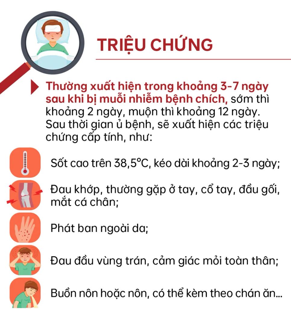 Chikungunya - Bệnh truyền nhiễm đang diễn biến phức tạp tại nhiều quốc gia