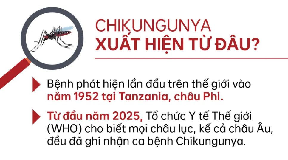 Chikungunya - Bệnh truyền nhiễm đang diễn biến phức tạp tại nhiều quốc gia