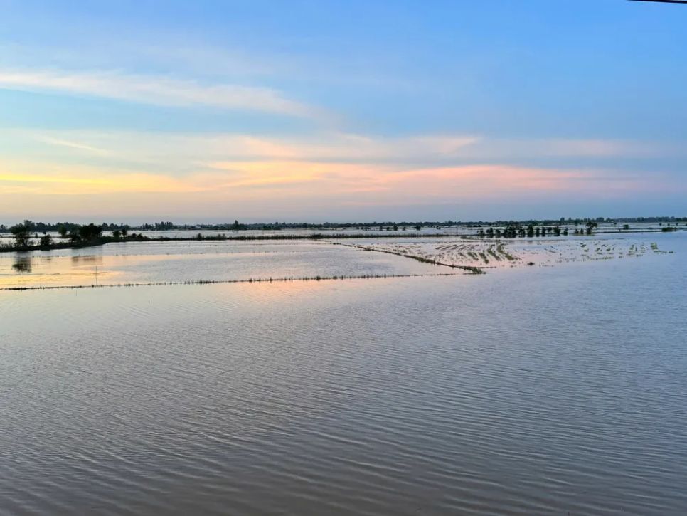 Nông dân miền Tây đón lộc vàng mùa nước nổi Nông dân miền Tây đón lộc vàng mùa nước nổi