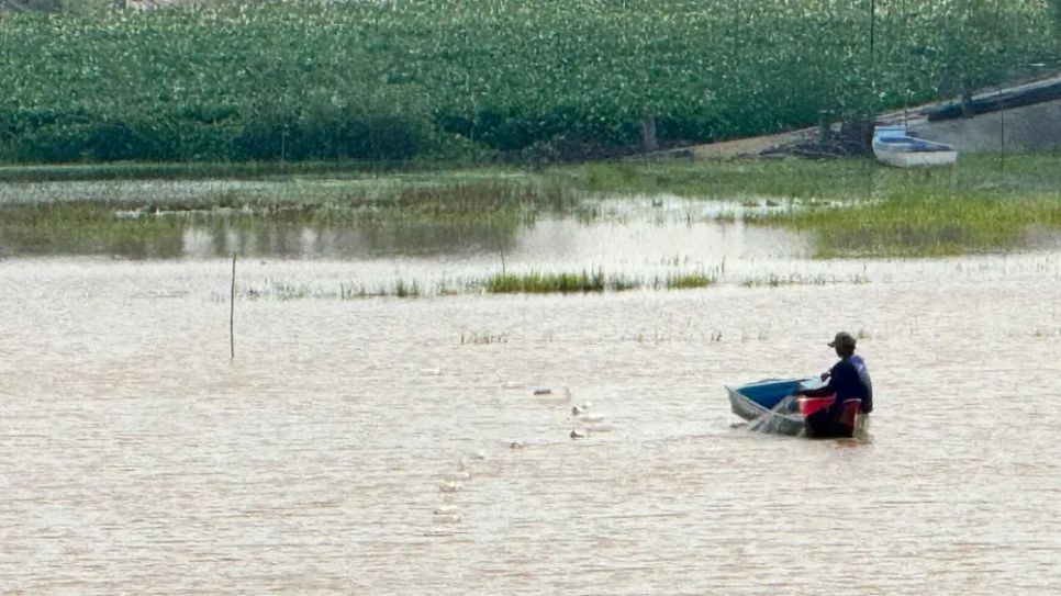 Nông dân miền Tây đón lộc vàng mùa nước nổi Nông dân miền Tây đón lộc vàng mùa nước nổi