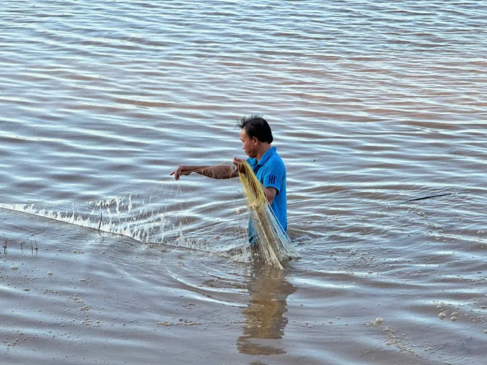 Nông dân miền Tây đón lộc vàng mùa nước nổi Nông dân miền Tây đón lộc vàng mùa nước nổi