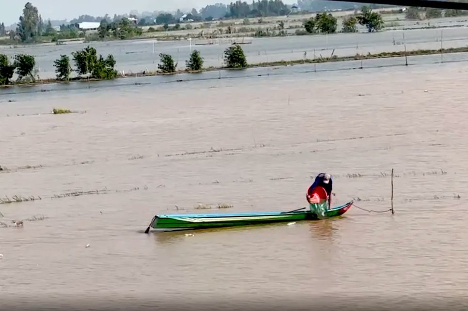 Nông dân miền Tây đón lộc vàng mùa nước nổi Nông dân miền Tây đón lộc vàng mùa nước nổi
