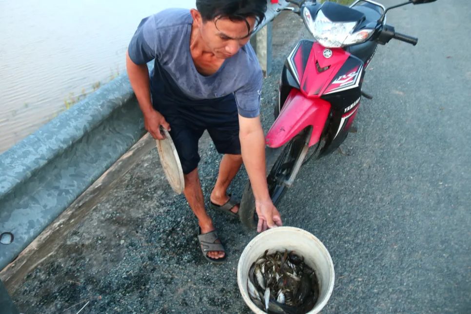 Nông dân miền Tây đón lộc vàng mùa nước nổi Nông dân miền Tây đón lộc vàng mùa nước nổi