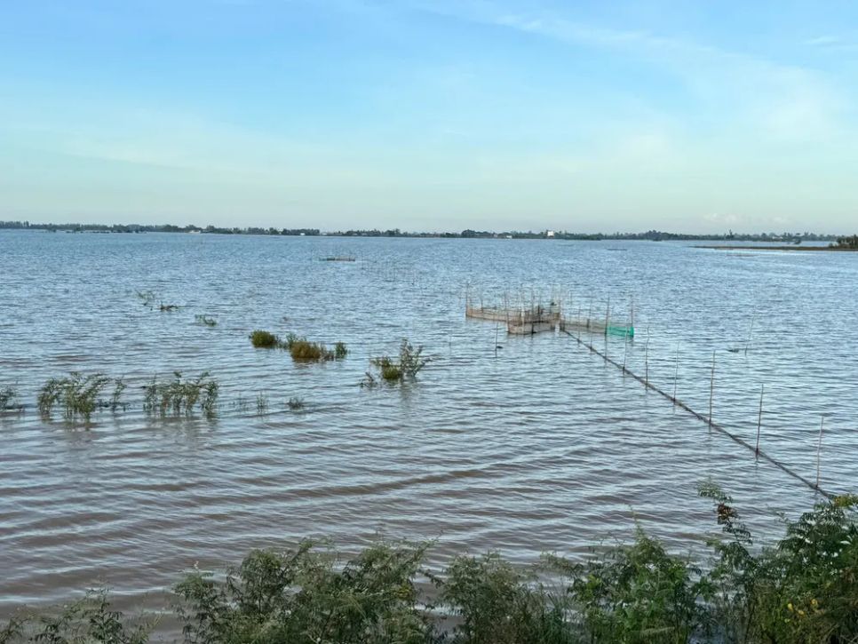 Nông dân miền Tây đón lộc vàng mùa nước nổi Nông dân miền Tây đón lộc vàng mùa nước nổi