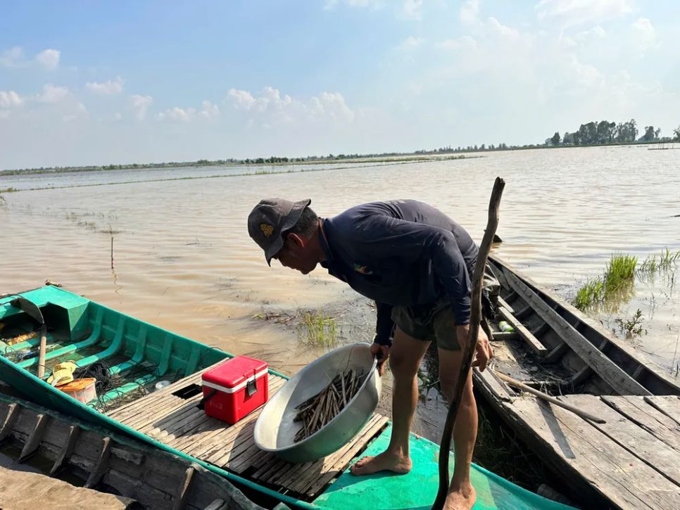 Nông dân miền Tây đón lộc vàng mùa nước nổi Nông dân miền Tây đón lộc vàng mùa nước nổi