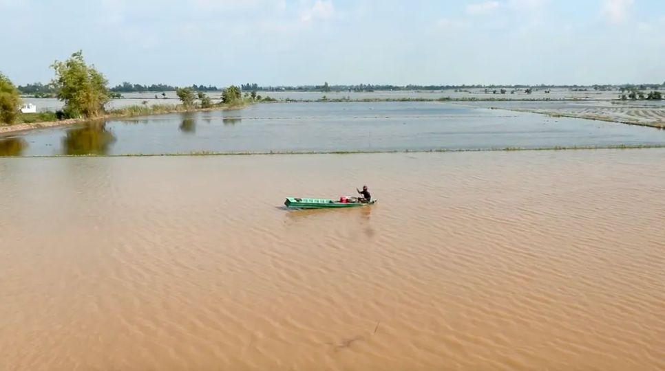 Nông dân miền Tây đón lộc vàng mùa nước nổi Nông dân miền Tây đón lộc vàng mùa nước nổi