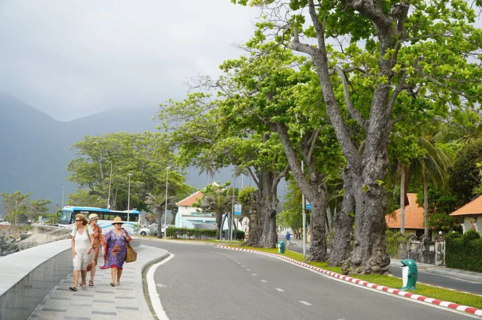 Khách quốc tế dạo chơi, ngắm biển và những cây bàng di sản tại Côn Đảo Khách quốc tế dạo chơi, ngắm biển và những cây bàng di sản tại Côn Đảo