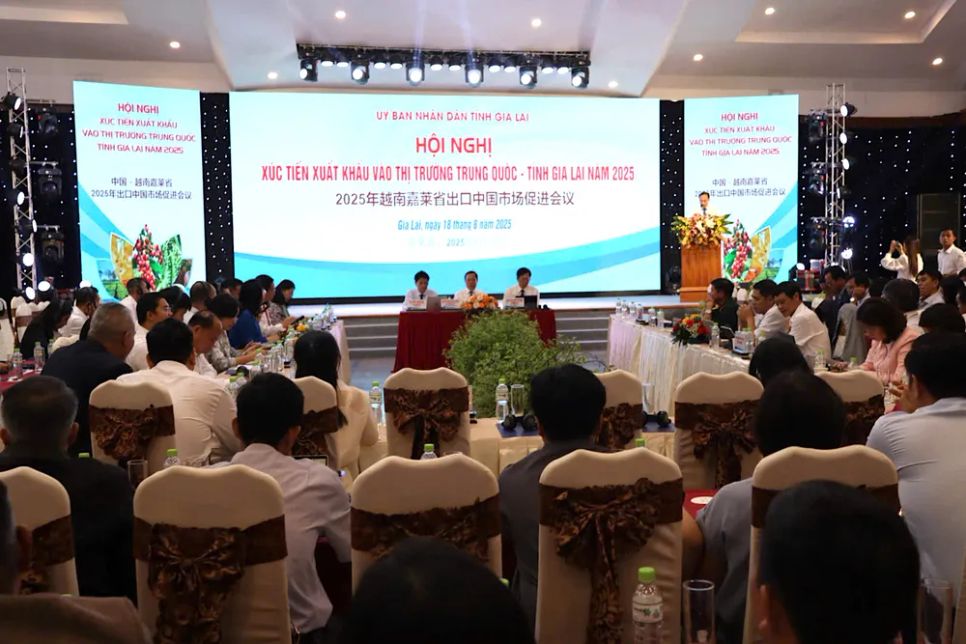 Quang cảnh hội nghị