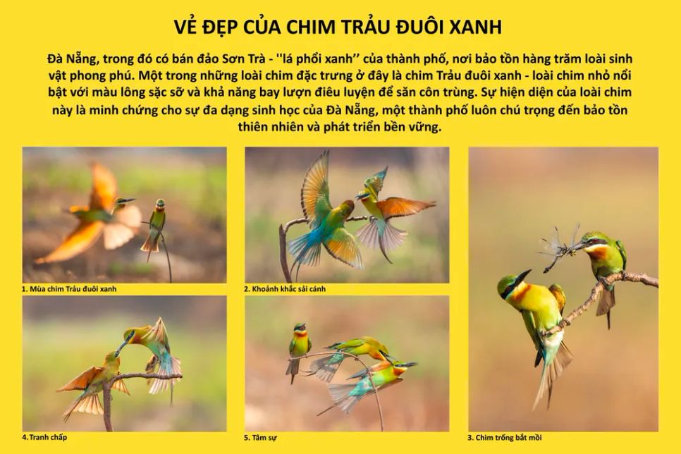 Festival Nhiếp ảnh trẻ 2025 vinh danh 17 tác phẩm xuất sắc Festival Nhiếp ảnh trẻ 2025 vinh danh 17 tác phẩm xuất sắc