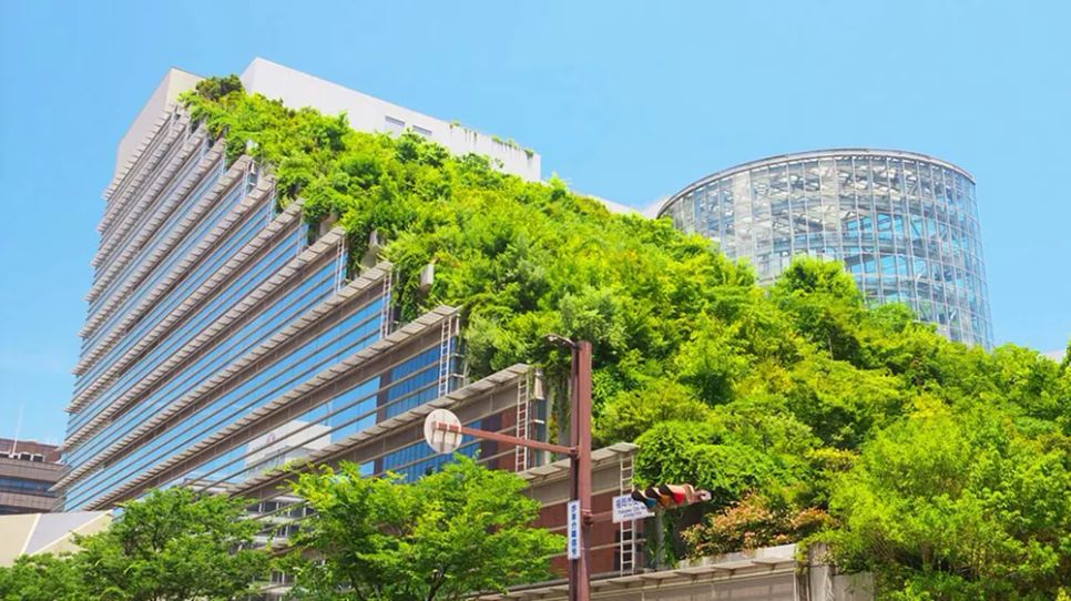 Trụ sở xanh hóa của một công ty ở Fukuoka, Nhật Bản. Ảnh: ESG