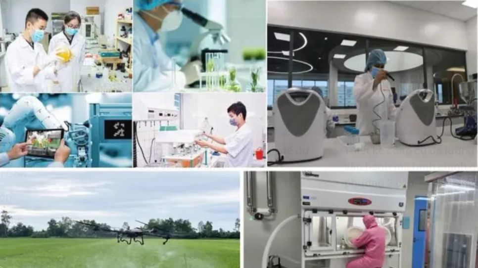 Hội thảo làm rõ vai trò của thông tin KH-CN như một động lực đổi mới sáng tạo. Ảnh minh họa Hội thảo làm rõ vai trò của thông tin KH-CN như một động lực đổi mới sáng tạo. Ảnh minh họa