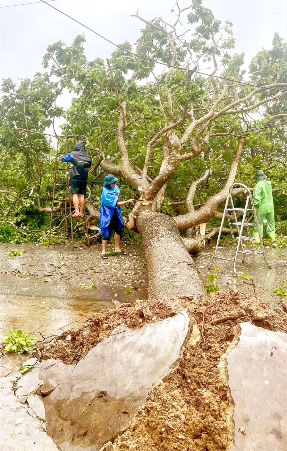 Ứng phó lũ quét và sạt lở sau bão số 5