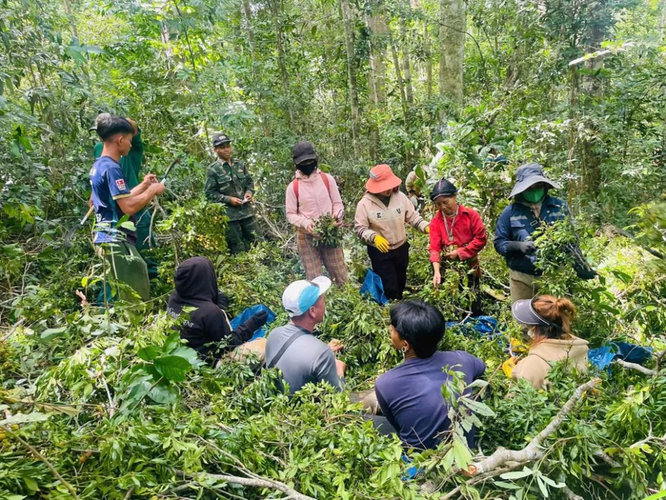 Người dân tất bật thu hoạch quả xoay Người dân tất bật thu hoạch quả xoay