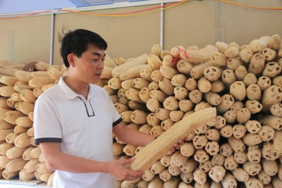 Anh Tùng đã Anh Tùng đã
