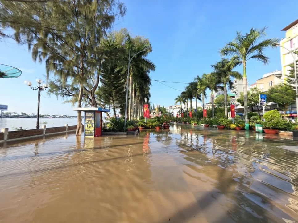Cần Thơ: Triều cường vượt báo động 3, nhiều nơi ngập nặng Cần Thơ: Triều cường vượt báo động 3, nhiều nơi ngập nặng