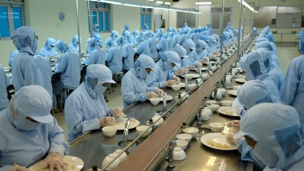 Chế biến yến sào tại xã Cần Giờ (TPHCM) Chế biến yến sào tại xã Cần Giờ (TPHCM)