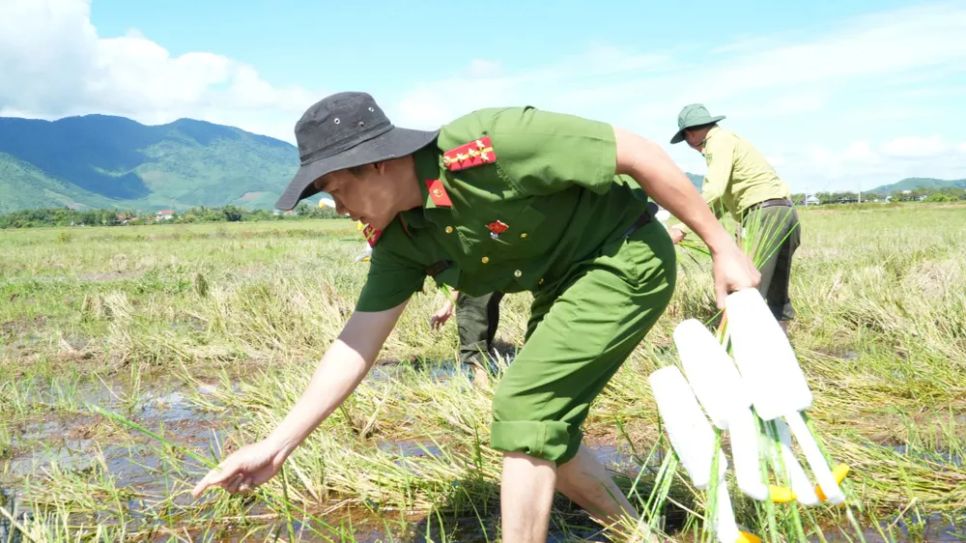 Gian nan giải cứu chim trời Gian nan giải cứu chim trời