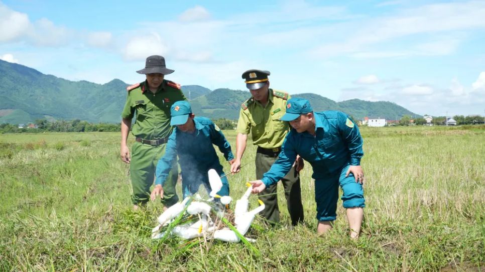 Gian nan giải cứu chim trời Gian nan giải cứu chim trời