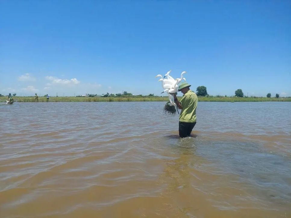 Gian nan giải cứu chim trời Gian nan giải cứu chim trời