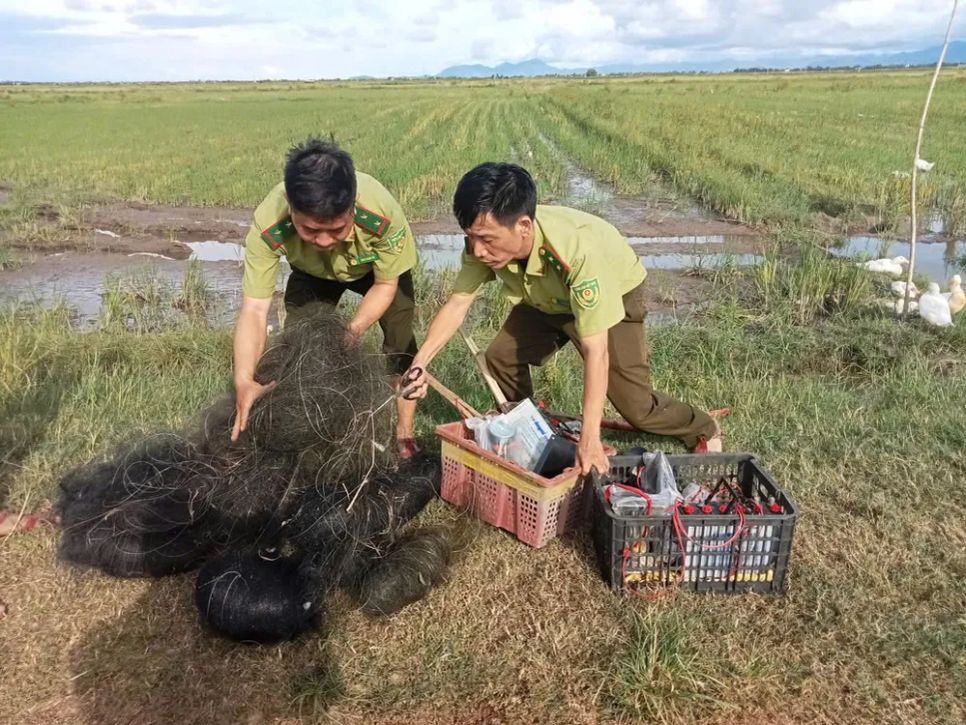 Gian nan giải cứu chim trời Gian nan giải cứu chim trời