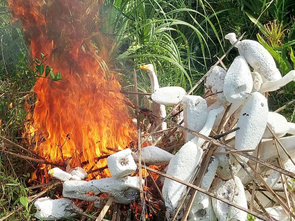 Gian nan giải cứu chim trời Gian nan giải cứu chim trời