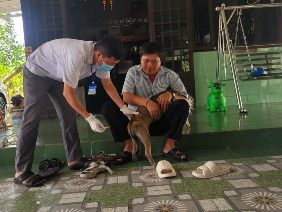 Cán bộ thú y tiêm phòng dại cho chó tại nhà dân